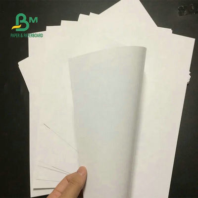 fabricación brillante blanca de 95 del x 130cm 200gram 250gram Art Paper Roll For Brochure