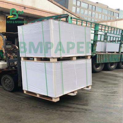 resistencia de agua plegable de la resistencia del papel de base de la taza de 200g + de 20g PE