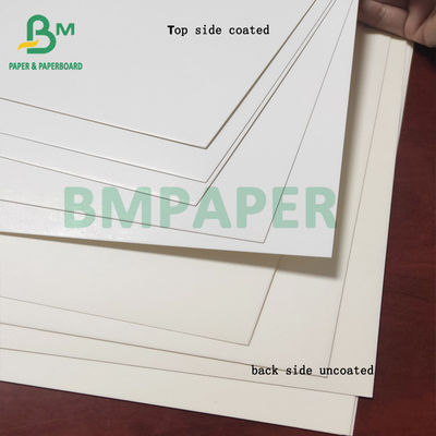 Rollo del papel del congelador de la categoría alimenticia, capa blanca del cartón 350gsm de C1S
