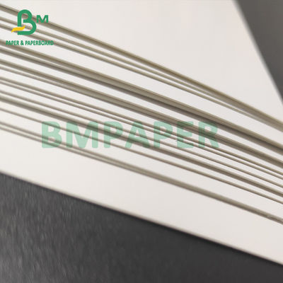 Rollo del papel del congelador de la categoría alimenticia, capa blanca del cartón 350gsm de C1S