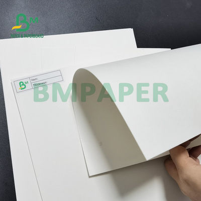 230gsm - 450gsm la cerveza Mat Board With Good Printing efectúa la superficie lisa