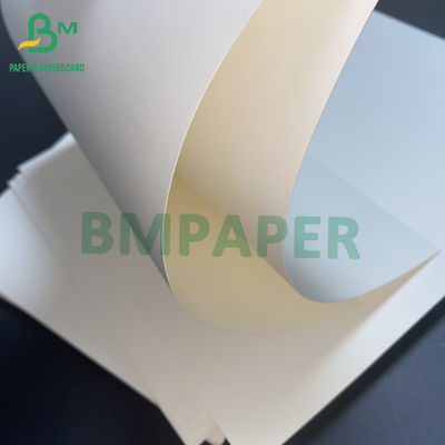15g PE cubrió 1 tablero de papel de la acción lateral de la taza para la taza fría de la bebida de la taza caliente de la bebida