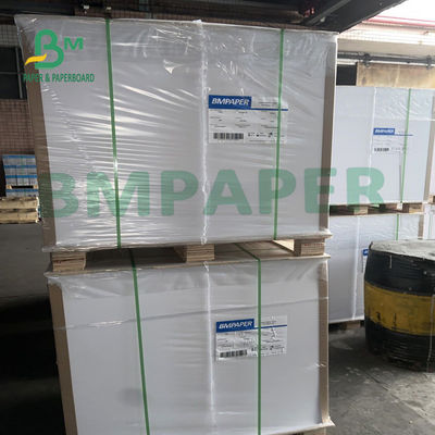 papel de envasado de alimentos de 635m m x de 914m m, C1S impermeable Art Paper For Takeway Box