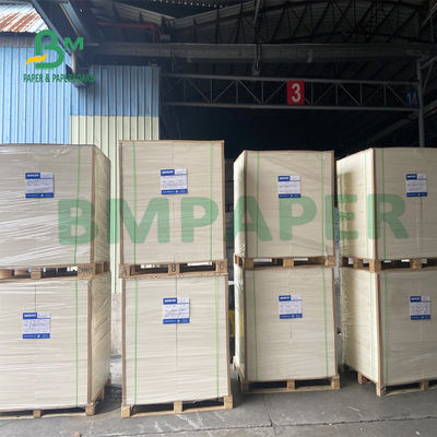 El FDA certificó amistoso de Eco del papel de envasado de alimentos cubierto para la caja del acondicionamiento de los alimentos