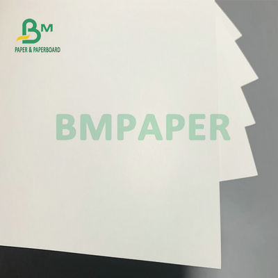 Rollo de papel del alto congelador blanco de la pulpa, papel de tablero de FBB 210g 250g para el embalaje de la torta