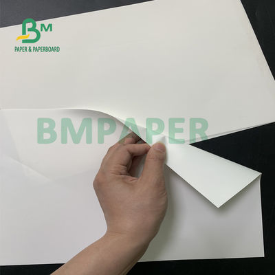 Hojas de papel sintéticas blancas brillantes, prenda impermeable del papel de la etiqueta engomada del ANIMAL DOMÉSTICO para la impresión