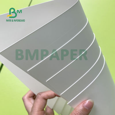 Papel sintético impermeable imprimible del solvente de Eco para el papel de cartel