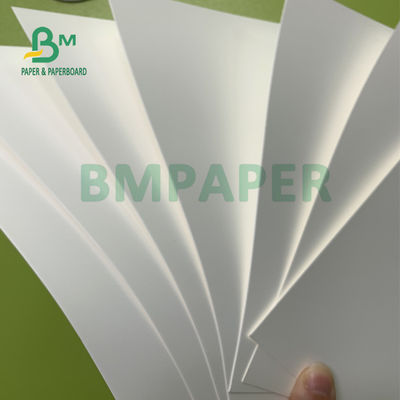 papel sintético de 180um PP, papel de prueba impermeable del rasgón para la publicidad al aire libre