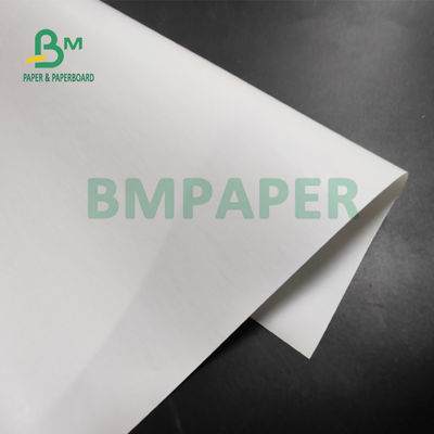 papel termal del rollo enorme 55gsm para las impresoras de la posición 565m m los x 6000m
