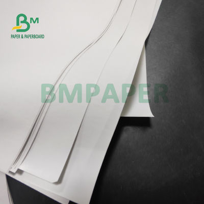 papel termal del rollo enorme 55gsm para las impresoras de la posición 565m m los x 6000m