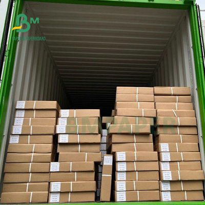 Rollo del papel de modelo 20LB, papel de 36 pulgadas de ancho Rolls para dirigir planes