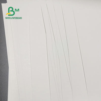 rollo de papel termal libre de 65gsm BPA para la imagen clara 600m m los x 9000m de la caja registradora