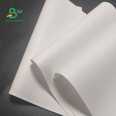 rollo de papel termal libre de 65gsm BPA para la imagen clara 600m m los x 9000m de la caja registradora
