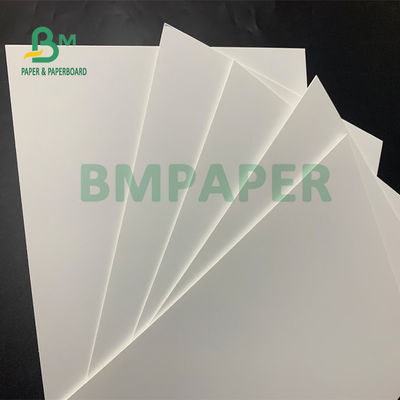 tiesura de Rolls del tablero de papel de 230g 250g 300g 400g SBS buena para la caja cosmética