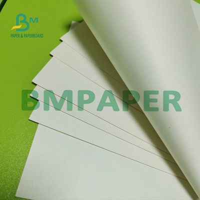 El tablero de papel común 180g uno PE lateral de la taza blanca natural cubrió la superficie lisa