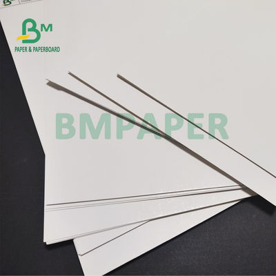 tablero de marfil de papel de 170gsm 190gsm C1S SBS para las etiquetas de la ropa 30 x 40 pulgadas - alta blancura