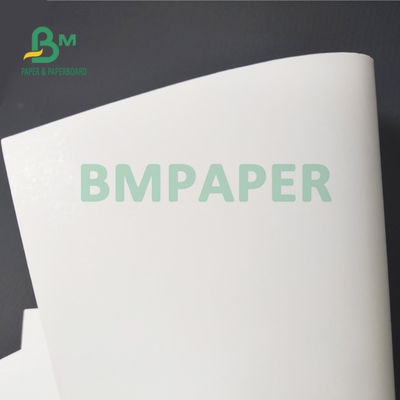 350gsm 1S cubrió al peso ligero del papel de tablero de FBB para el embalaje farmacéutico 37&quot; X.25”