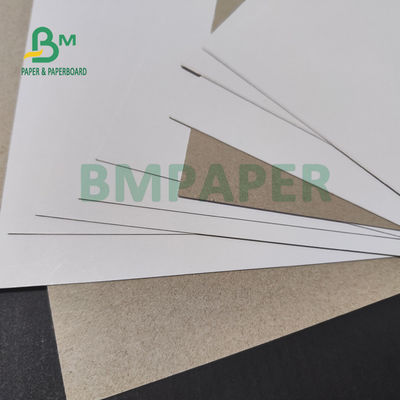 caja 46&quot; de 300gsm 350gsm Clay Coated Paperboard For Toothpaste” alta tiesura X 21