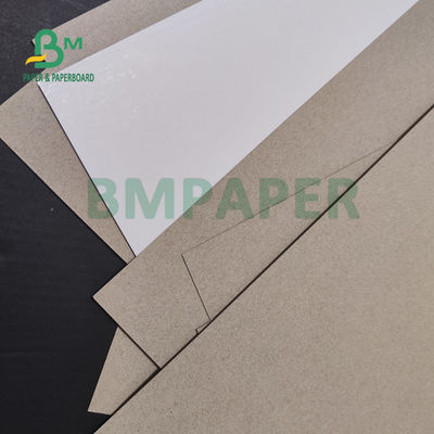 caja 46&quot; de 300gsm 350gsm Clay Coated Paperboard For Toothpaste” alta tiesura X 21
