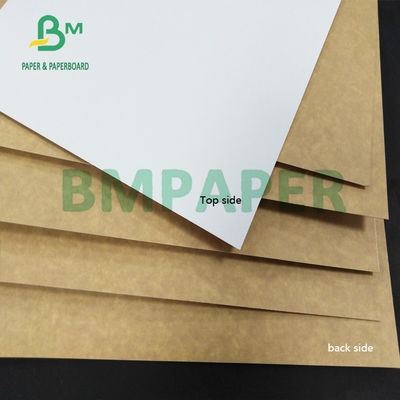 resistente de humedad de 325gsm CCK Clay Coated Kraft Back Paper para las cajas del cartón de plegamiento