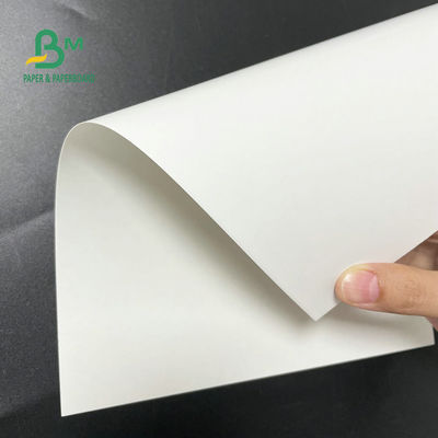 30 x 40 pulgadas del congelador del papel de blanco C1S Artboard del rollo 12pt 14pt 18pt para la comida que embala