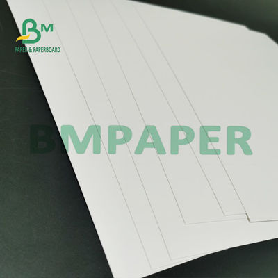 Una categoría alimenticia revestida blanca lateral de la prenda impermeable de la hoja del rollo del papel del congelador 295g para el pan
