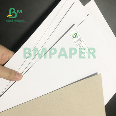 200gsm - alta tiesura del tablero revestido del duplex 500gsm para la caja de embalaje