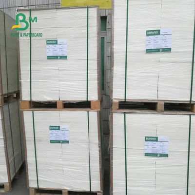 Prenda impermeable 1200m m 190gsm 210gsm 240gsm del tablero de papel de la acción de la taza del aislamiento de calor