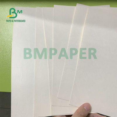 resistencia plegable del tablero de papel de la acción de la taza de 135gsm + de 15gsm Polycoated
