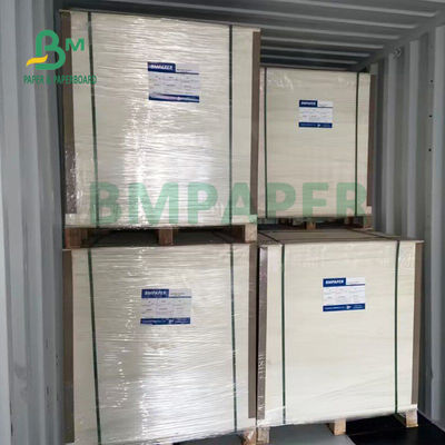 resistencia plegable del tablero de papel de la acción de la taza de 135gsm + de 15gsm Polycoated