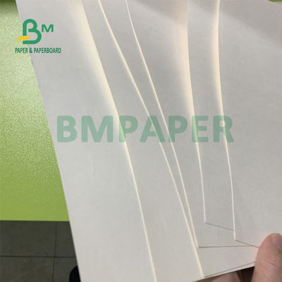resistencia plegable del tablero de papel de la acción de la taza de 135gsm + de 15gsm Polycoated