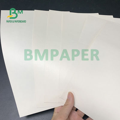 tablero de papel de la acción de la taza 230gsm + 18gsm seguro ninguna especialidad del olor para los cuencos de los tallarines