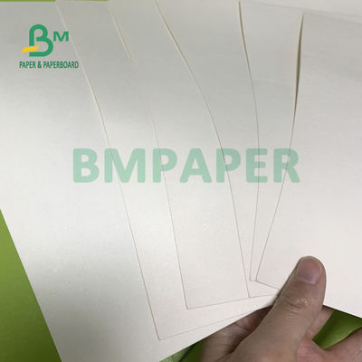 tablero de papel de la acción de la taza 230gsm + 18gsm seguro ninguna especialidad del olor para los cuencos de los tallarines