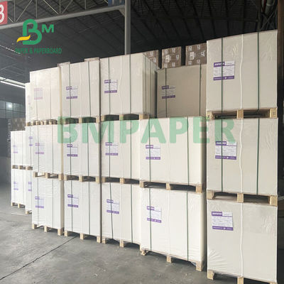 tablero de papel de la acción de la taza 230gsm + 18gsm seguro ninguna especialidad del olor para los cuencos de los tallarines