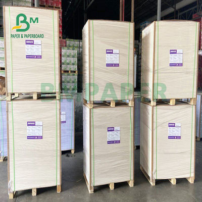 El PE cubrió la categoría alimenticia común de la prenda impermeable del tablero de papel de la taza 150gsm + 13gsm