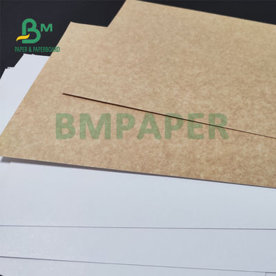 el blanco del uniforme 325gsm cubrió el papel trasero de Kraft para el pan que embalaba 70 el x 100cm