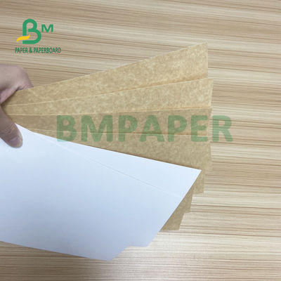 Rasgón CCKB resistente Clay Coated Kraft Paper Board para las cajas para llevar