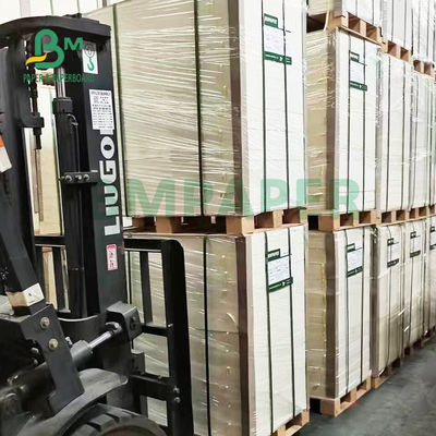 papel de absorción del agua 1.2m m imprimible de 0.9m m para el material del práctico de costa de la taza