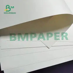 300g + 15g PE blanco cubrieron la prenda impermeable de papel común de la categoría alimenticia de la taza para hacer la taza