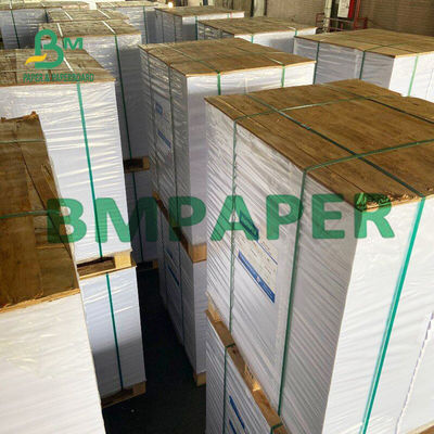blanco natural sin recubrimiento del papel secante de 0.5m m en el rollo para las juntas de la botella