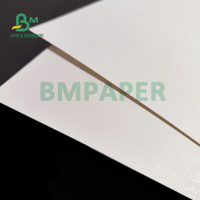 230gsm + 15 PE Matt Laminated Cup Stock Paper para las bebidas calientes 882m m