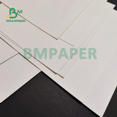 230gsm + 15 PE Matt Laminated Cup Stock Paper para las bebidas calientes 882m m