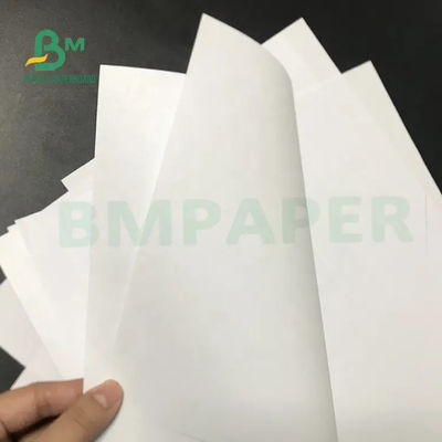 La garantía escaria 50gsm a la hoja sin recubrimiento del Libro Blanco del llano 300gsm
