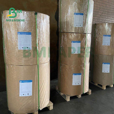 papel impermeable a la grasa blanco de 230gsm + de 15g PE para el paquete 700m m de la fiambrera de los alimentos de preparación rápida