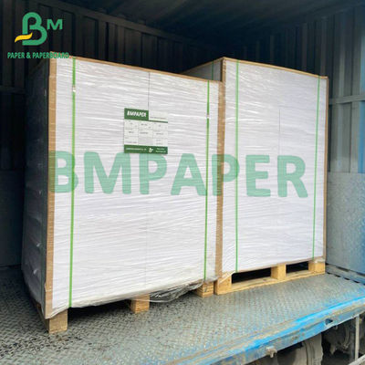 rollo revestido blanco del papel del congelador 215gsm para el empaquetado del envase de comida