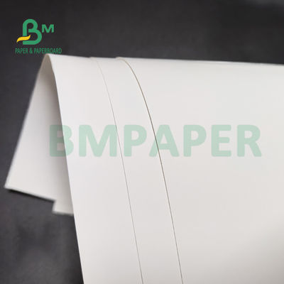 Parte posterior blanca lateral 350gsm 36" del rollo 1 de papel FBB del congelador de la pulpa de la Virgen X 48" para el paquete de la atención sanitaria