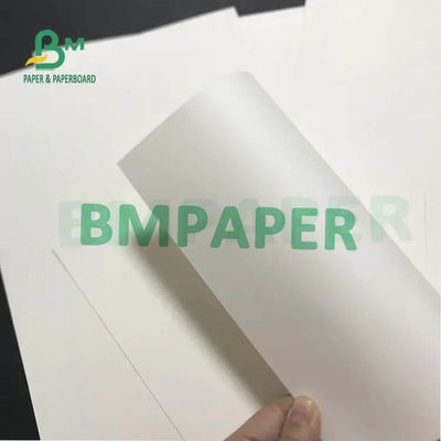 La taza blanca Rolls de papel 230g 250g 270g + 15g 20g PE laminó un lado