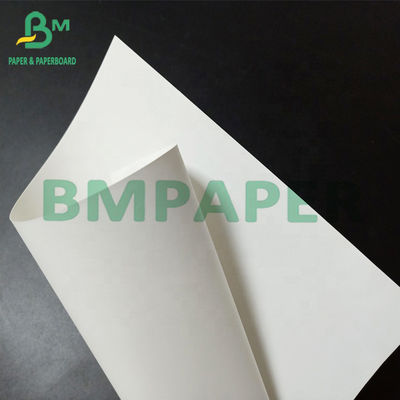 Envasado de alimentos de piedra blanco 140um de papel Eco Oilproof amistoso para el embalaje del almacenamiento de la fruta