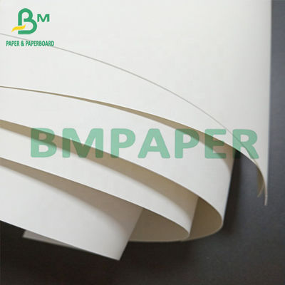 Envasado de alimentos de piedra blanco 140um de papel Eco Oilproof amistoso para el embalaje del almacenamiento de la fruta