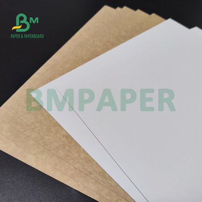 250gsm 300gsm C1S Kraft detrás cubrió al tablero a dos caras para la caja fuerte de la comida de la caja de la ensalada
